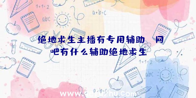 「绝地求生主播有专用辅助」|网吧有什么辅助绝地求生